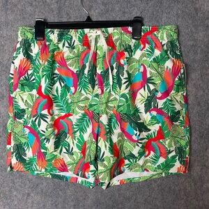 Tropical Parrot Print Men’s Swim Shorts